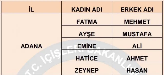 illere gore en cok kullanilan isimler