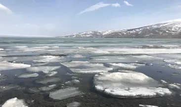 Çıldır Gölü erimeye başladı