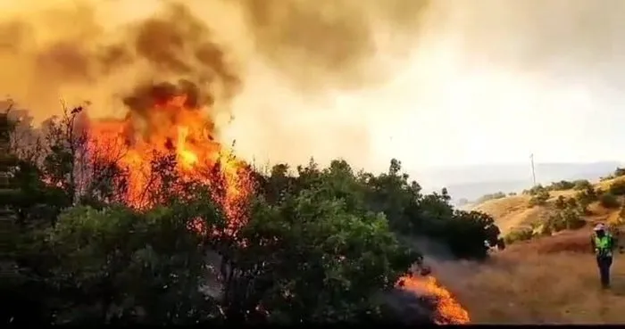 SON DAKİKA HABERİ… 5 ilde orman yangını: Alevlerle topyekün mücadele! İşte bölge bölge son durum