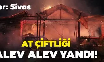 Sivas’taki at çiftliği alev alev yandı