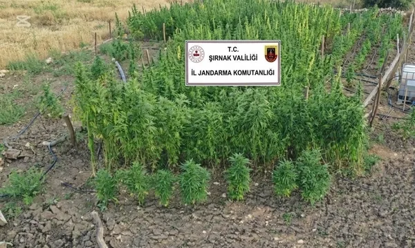 sirnakta-28-milyon-tl-degerinde-kacak-malzeme-ele-gecirildi-1782132703448.jpg