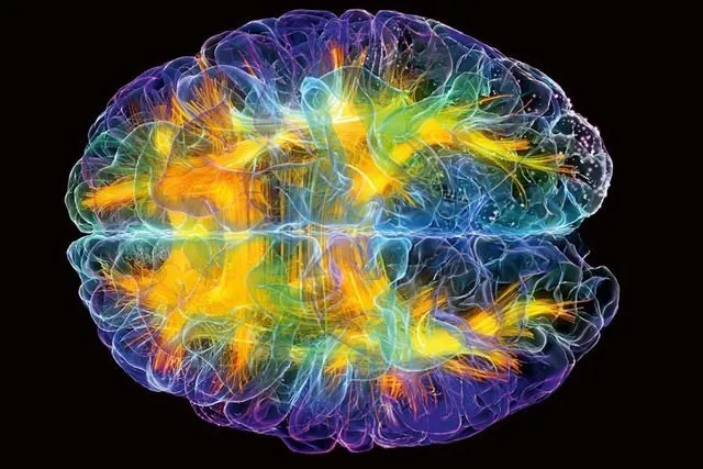 Sol ve Sağ beyin birlikte çalışırsa ne olur?