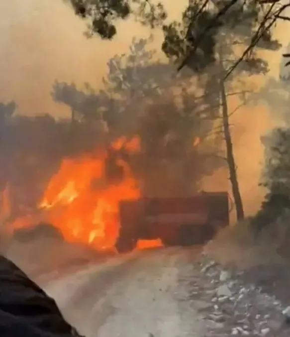 SON DAKİKA | Çanakkale’de korkutan orman yangını: Şehir duman altında, üniversite tahliye ediliyor!