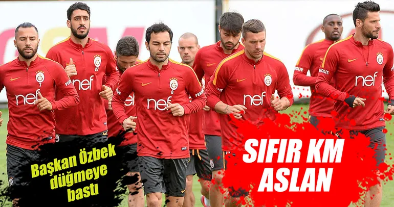 Sıfır km aslan