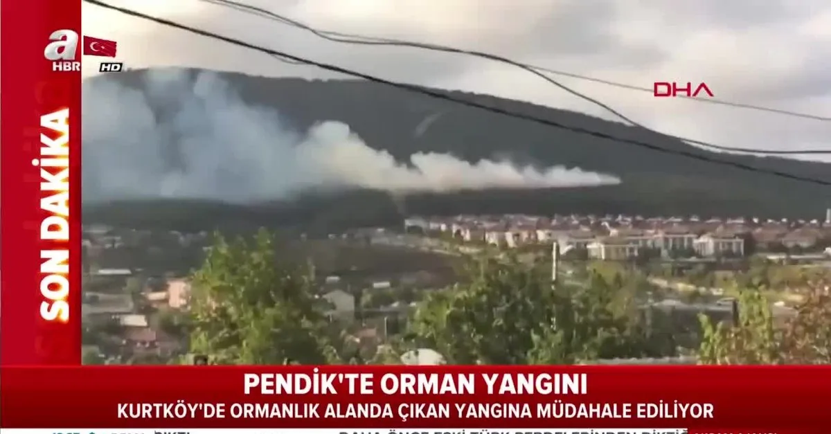 Pendik Kurtkoy De Orman Yangini Videosunu Izle Sabah Tv