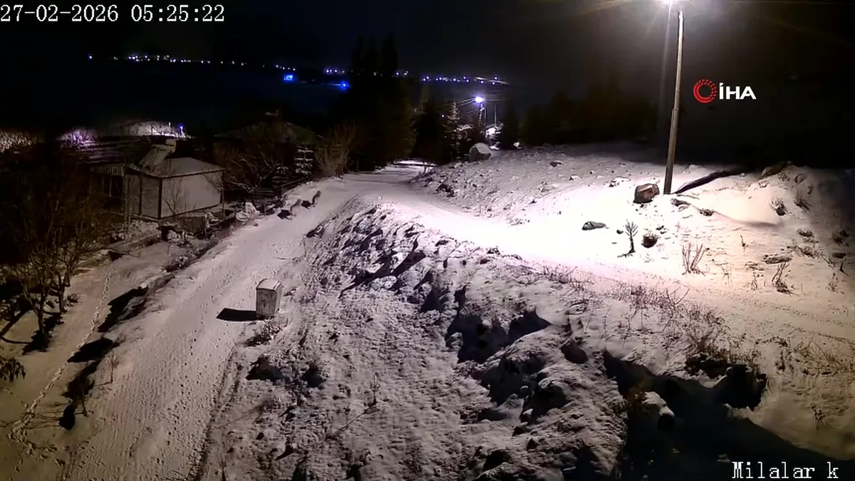 Niğde’de köye inen kurt sürücü kamerada | Video videosunu izle Niğde’de köye inen kurt sürücü kamerada | Video videosunu izle