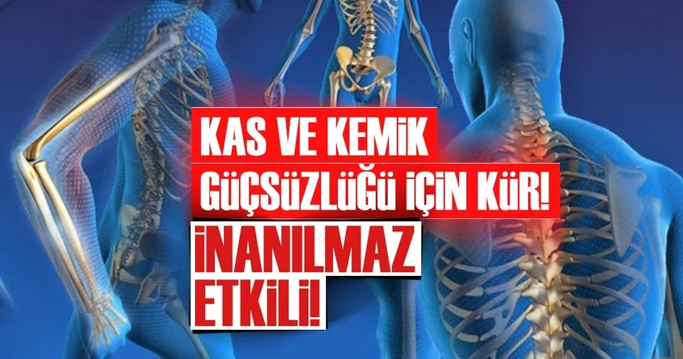 Kas Ve Kemik Gucsuzlugu Icin Kur Saglik Haberleri