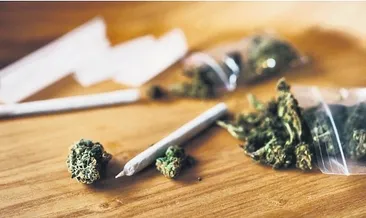 Sağlık ve kişisel bakım sektörüne kenevir izni