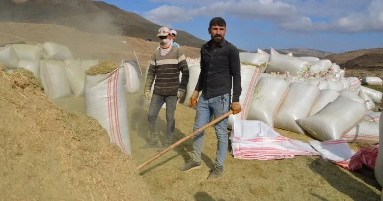 Muş’ta Besicilerin kış telaşı başladı