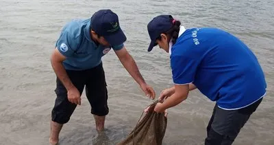 Barajdan 2 kilometre'lik kaçak hayalet ağ çıktı #kastamonu