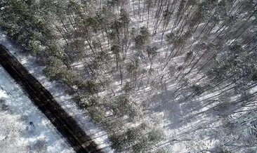 Karla kaplanan İğneada Longoz Ormanları görsel şölen sunuyor