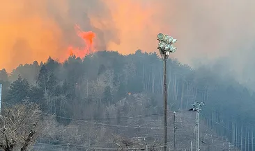 Japonya’daki orman yangını 5’inci gününde: 1800 hektarlık alan kül oldu