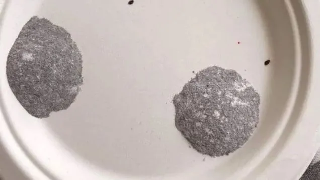 son-dakika-fatihteki-aile-katliami-bocek-ailesini-olduren-zehir-alman-ogrencinin-de-kabusu-cikti-1763890356852.jpg (636×359)