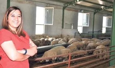 Destekle çiftlik kurdu 1000 koyuna ulaştı