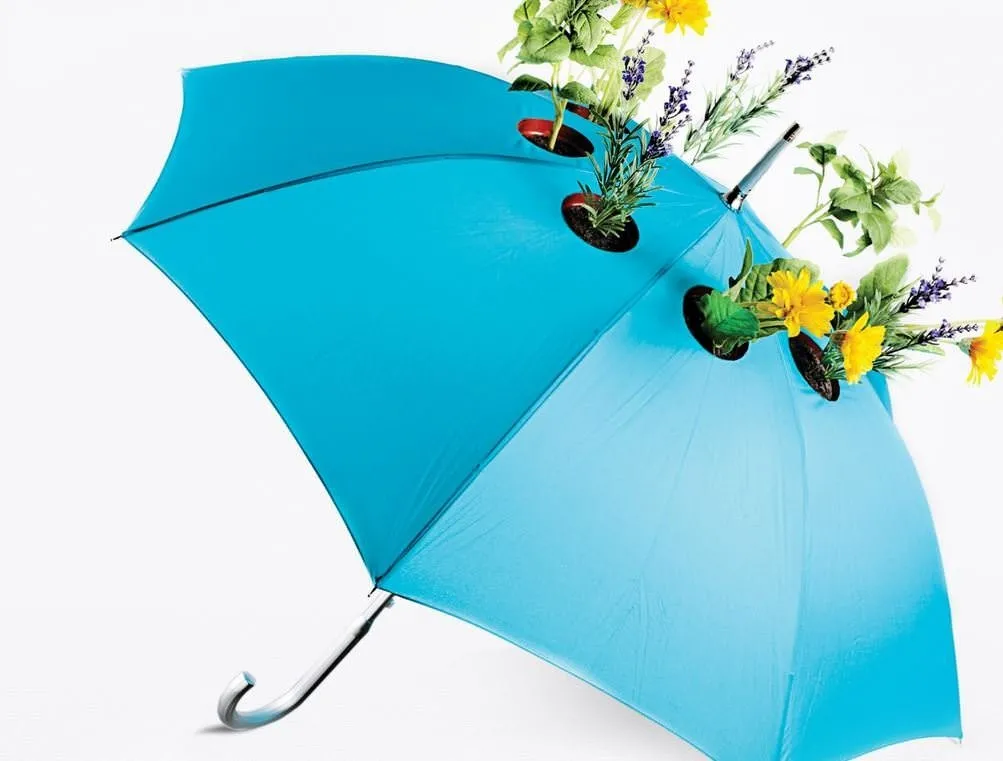 Зонтики алиса. Оригинальные зонты. Креативный зонт. Необычные зонтики. Дизайнерские зонтики.
