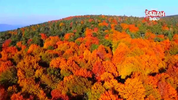 Kazdağları'nın eşsiz sonbahar güzellikleri mest etti | Video