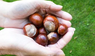 Mucizevi besin! Kabızlığa çare oluyor