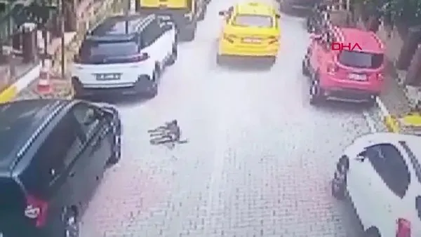 İstanbul Eyüpsultan'da taksicinin köpeğin üzerinde geçme anı kamerada