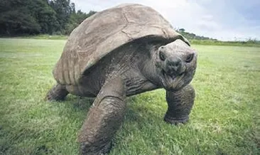 Jonathan 187 yaşında