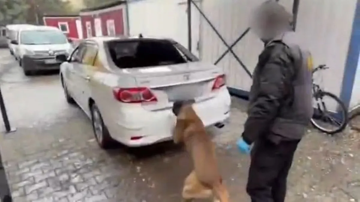 Gizli bölmeden kokain çıktı: Polis köpeğini geçemediler! Gizli bölmeden kokain çıktı: Polis köpeğini geçemediler!