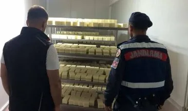 Piyasaya sürülecekti! 5 ton tarihi geçmiş kaşar ele geçirildi #sakarya