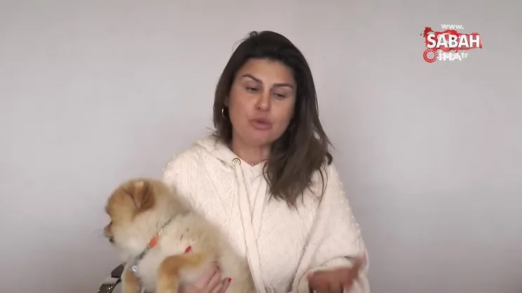 Bodrum'da annenin kızını yaralayan köpeği kamyonetle ezdiği iddiası | Video