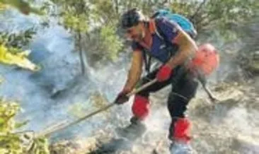 Tunceli, Bitlis ve Bingöl’de yangınla mücadele sürüyor