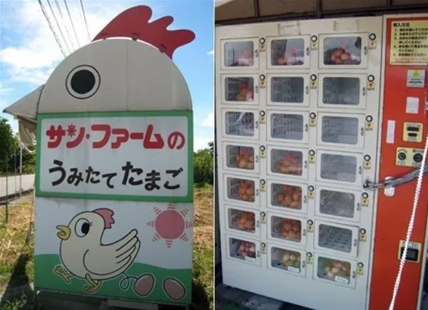 Japonya'yı bir de böyle görün!