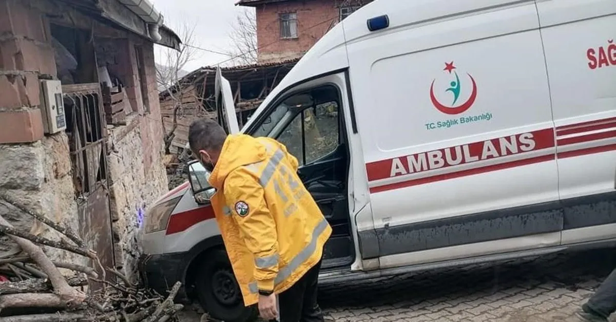 biyometrik fotograf olculeri piksel
