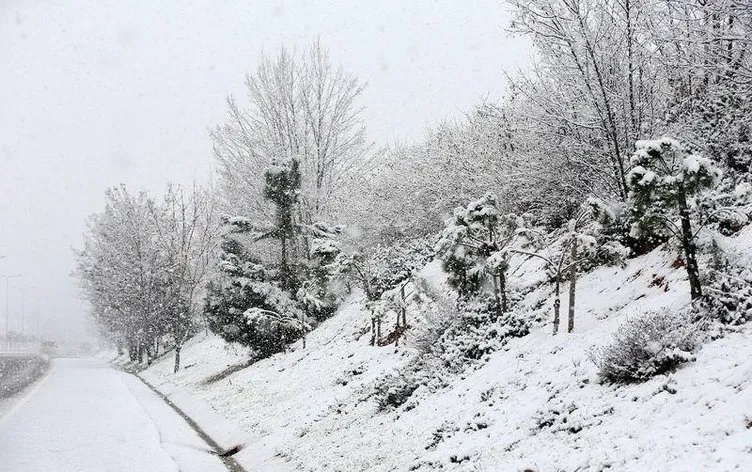 İstanbul’a yılın ilk karı düştü