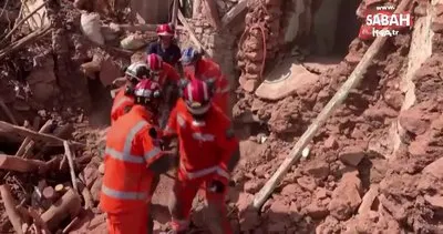 Fas’ta enkaz altında kalan eşek 10 gün sonra kurtarıldı | Video