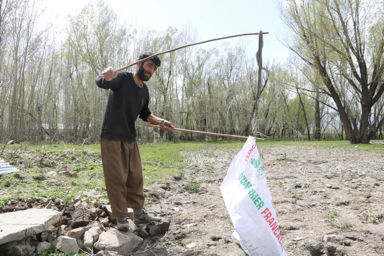 Hakkari'deki o evden 20 yılan daha çıktı...