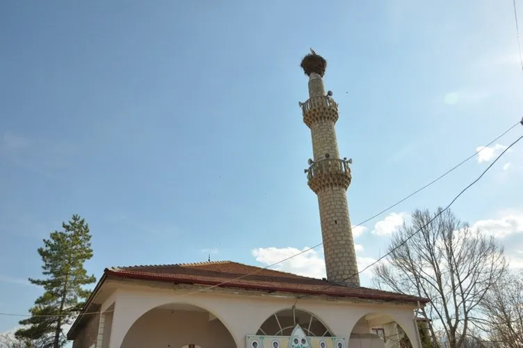 Leylekler 59 yıldır aynı minarede konaklıyor