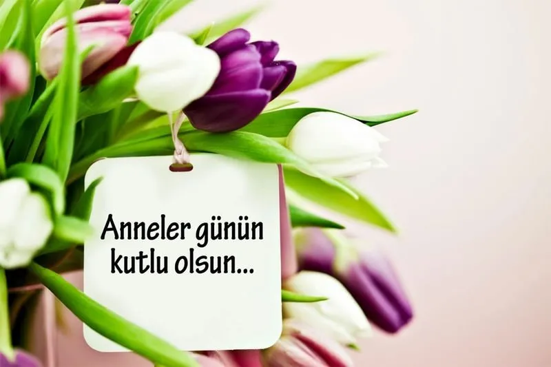 Arkadaslar Benim Annem Guzel Annem Melodisinin Notalari Varsa Atarmisiniz Acil Eodev Com