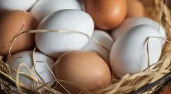 Mutfağınızdaki en büyük hata! Yumurtaları asla böyle yerleştirmeyin