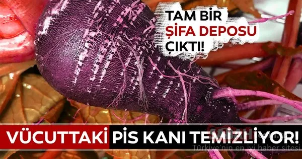 Vücuttaki pis kanı temizleyen besin sizi çok şaşırtacak! Mucize besin düzenli tüketildiğinde tam bir şifacı!
