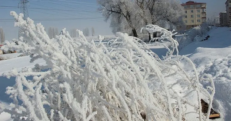 Doğu Anadolu’da dondurucu soğuklar