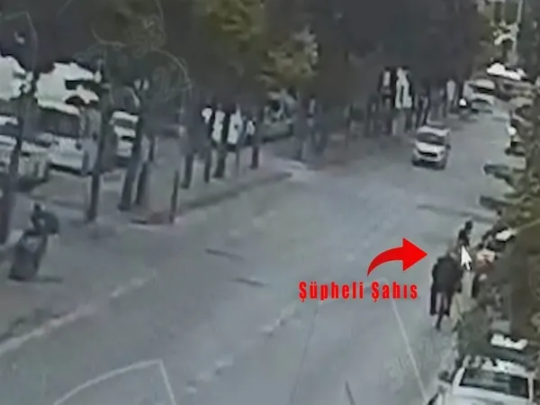 1791878118553.jpg
