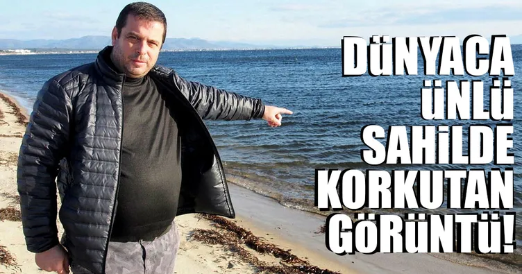 Dünyaca ünlü sahilde korkutan görüntü!