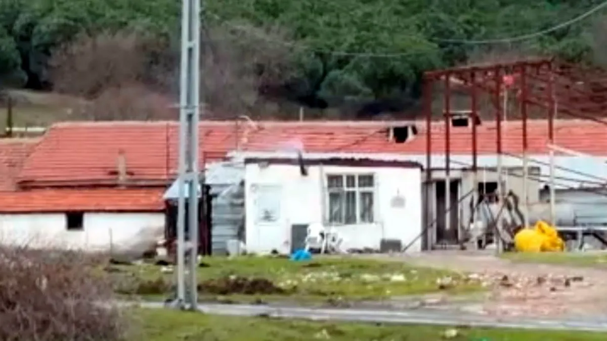 Arnavutköy’deki çiftlik evinde elektrikli testereli saldırı dehşeti yaşandı Arnavutköy’deki çiftlik evinde elektrikli testereli saldırı dehşeti yaşandı