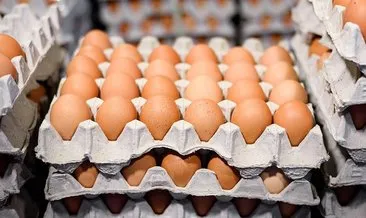 Fakıbaba: Türkiye’de fipronilli yumurta tespit edilmedi