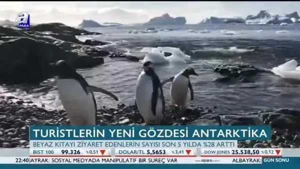 Turistlerin yeni gözdesi Antarktika