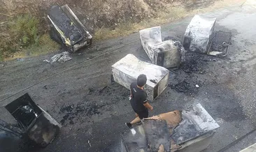 Aydın’da buzdolabı yüklü kamyonet yandı