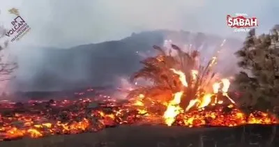 La Palma’da yanardağ kabusu sürüyor | Video