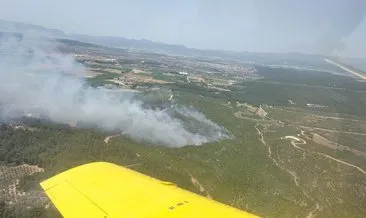 İzmir’de orman yangını: Ekipler müdahale ediyor!