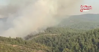 Bursa’nın Orhaneli ilçesinde orman yangını | Video