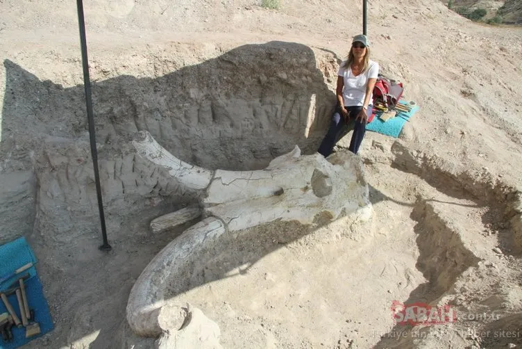 Kayseri’de 7 buçuk milyon yıllık ’fil’ fosili bulundu