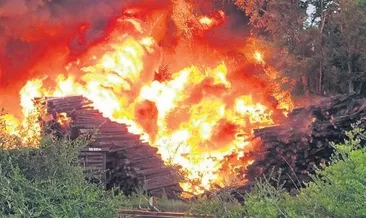 Dünya küle dönüyor