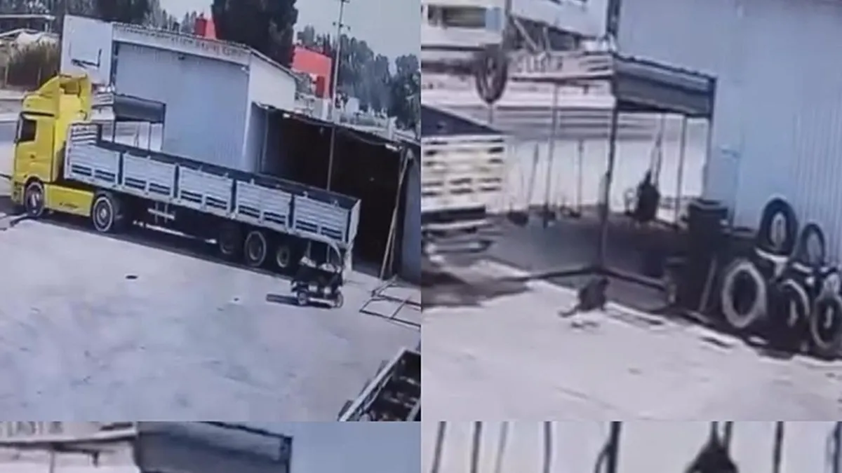 Tır Çırağı Ezdi: Şoför Serbest Kaldı!