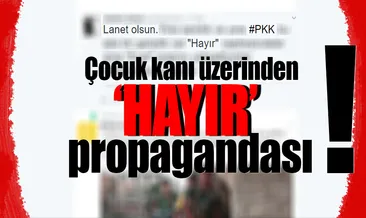 FETÖ’cü Amberin ve İHD Çocuk kanı üzerinden hayır propagandası yaptı